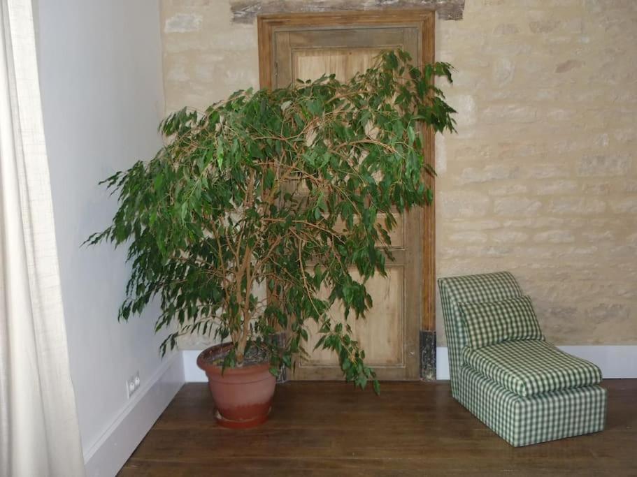 Le Presbytere - Touillon, Jacuzzi, 4 Chambres Pour 10 Bagian luar foto
